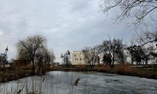 Mocsár Kisvárdán? Naná!