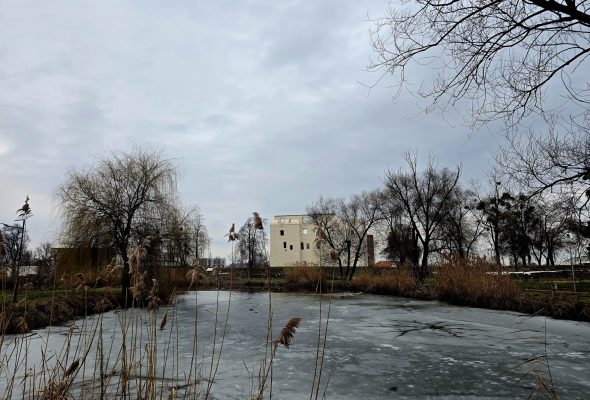 Mocsár Kisvárdán? Naná!