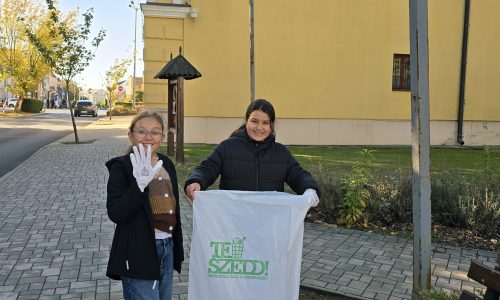 Közel 200 önkéntes tett a tisztább Kisvárdáért!