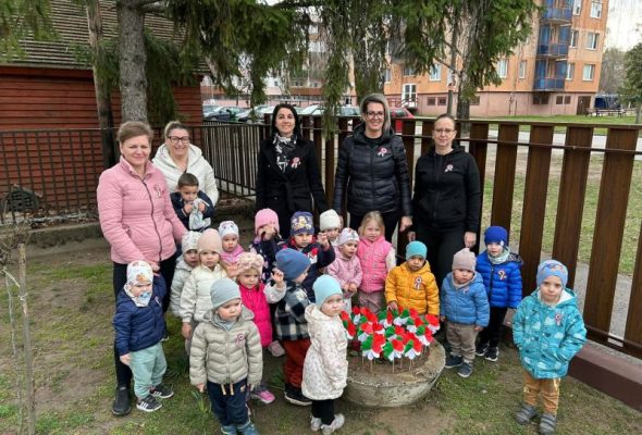 Bölcsisek piros-fehér-zöldje