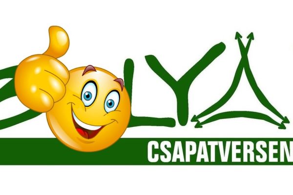 Csapatban bizonyítottak a kisvárdai „Bolyais” csapatok