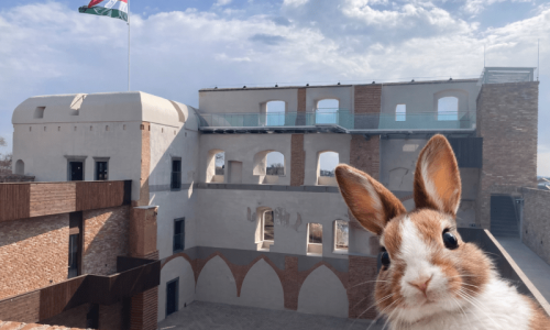 Húsvéti Családi Piknik a Kisvárdai Várban