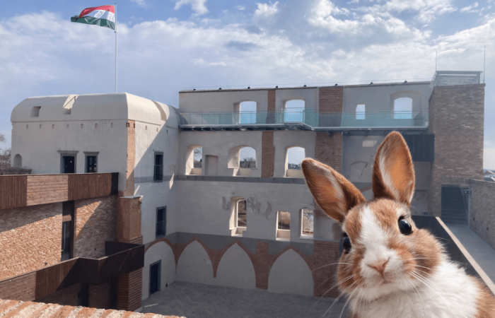 Húsvéti Családi Piknik a Kisvárdai Várban