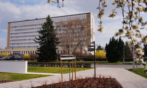 Kisvárda, 2026. március 24.
A Szent Damján Görögkatolikus Kórház a felújításáról tartott sajtótájékoztató napján Kisvárdán 2026. március 24-én. A kórház az 1 milliárd 887 millió forint támogatást nagyrészt energetikai beruházásokra fordítja majd.
MTI/Derencsényi István