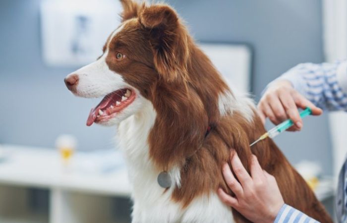 Eboltás Kisvárdán!