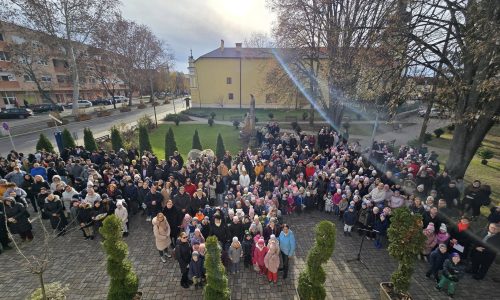 30 karácsonyfa díszíti Kisvárdát a fenntarthatóság jegyében