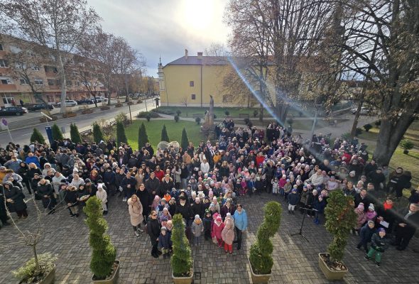 30 karácsonyfa díszíti Kisvárdát a fenntarthatóság jegyében