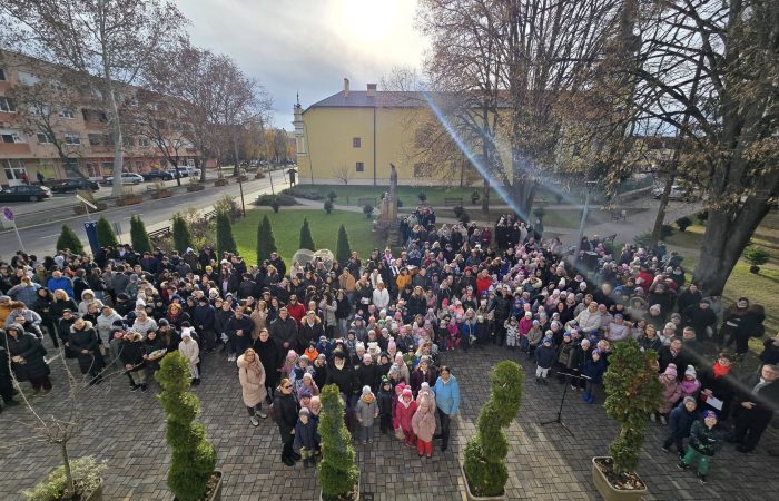30 karácsonyfa díszíti Kisvárdát a fenntarthatóság jegyében