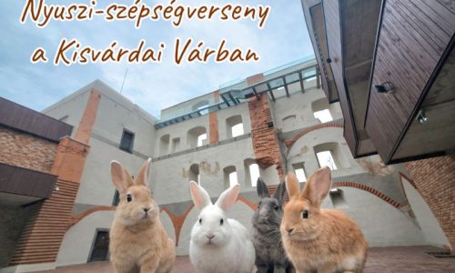 Figyelem, nyuszigazdik!!!