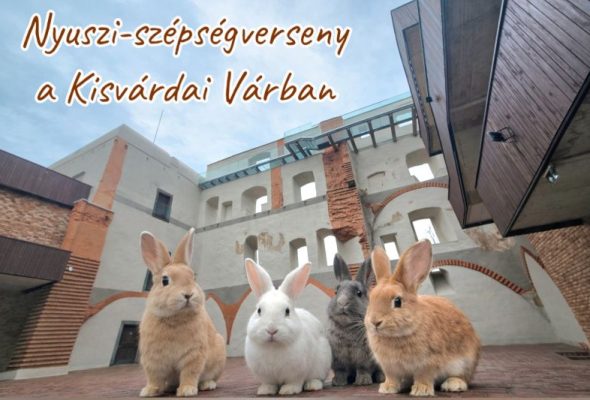 Figyelem, nyuszigazdik!!!