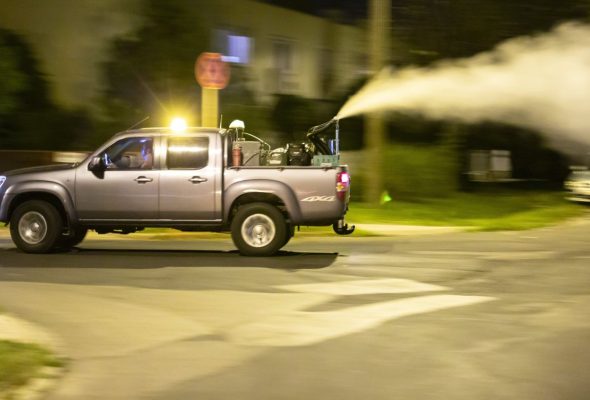 Földi szúnyoggyérítés lesz Kisvárdán